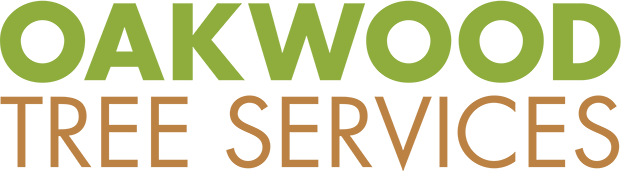 Oakwood Tree Services